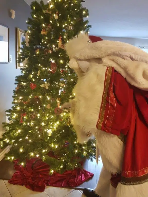 Santa claus
